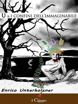 cover image of U e i confini dell'immaginabile